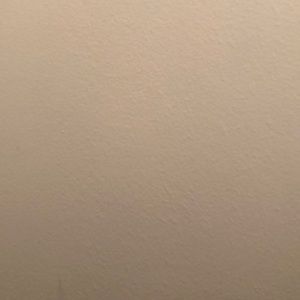 Meet your Posher, Debra